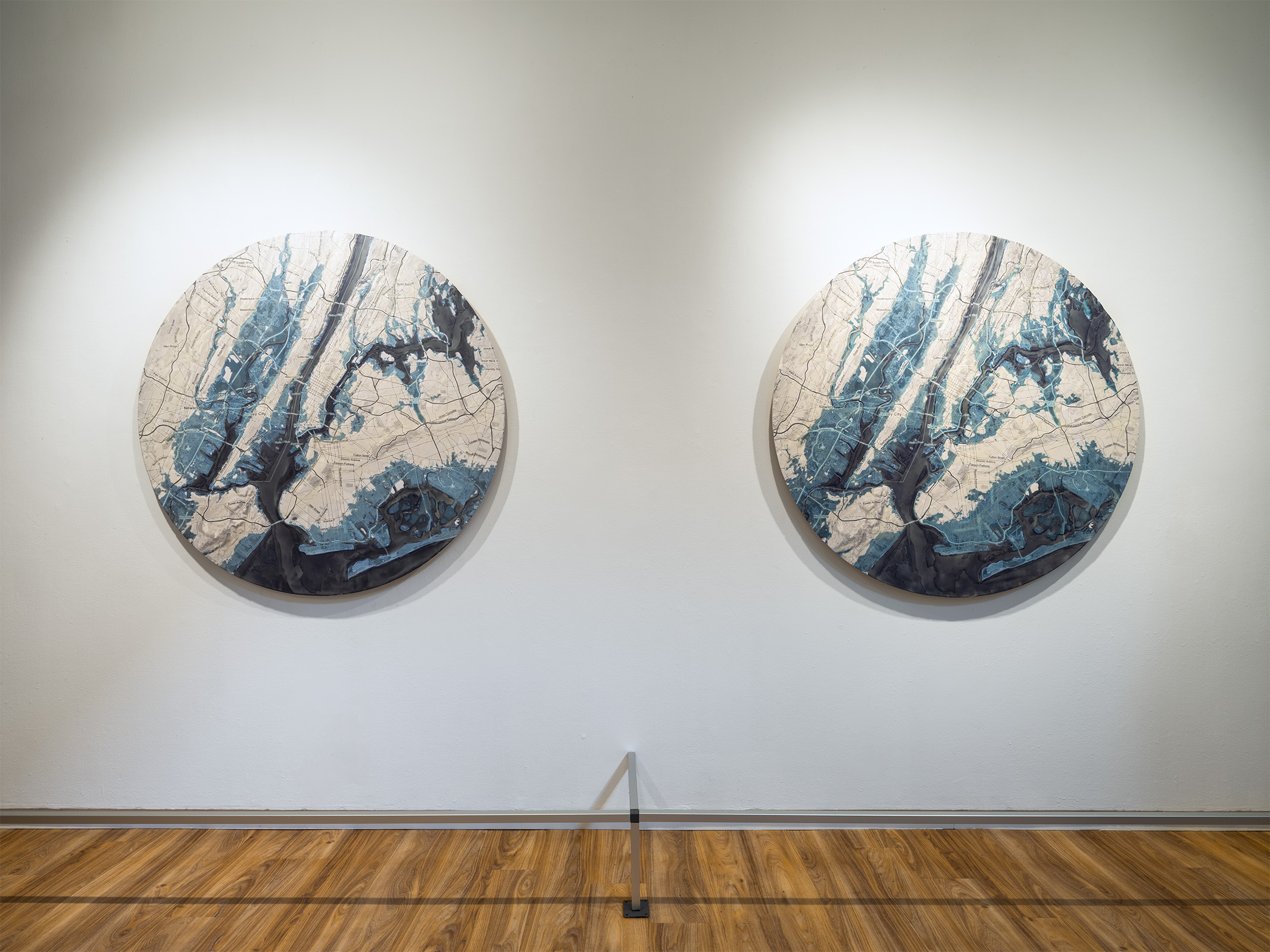 Maya Lin Mappings Smith College Museum of Art